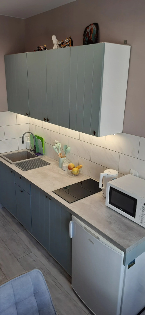 Квартира Студия в центре Екатерининский парк