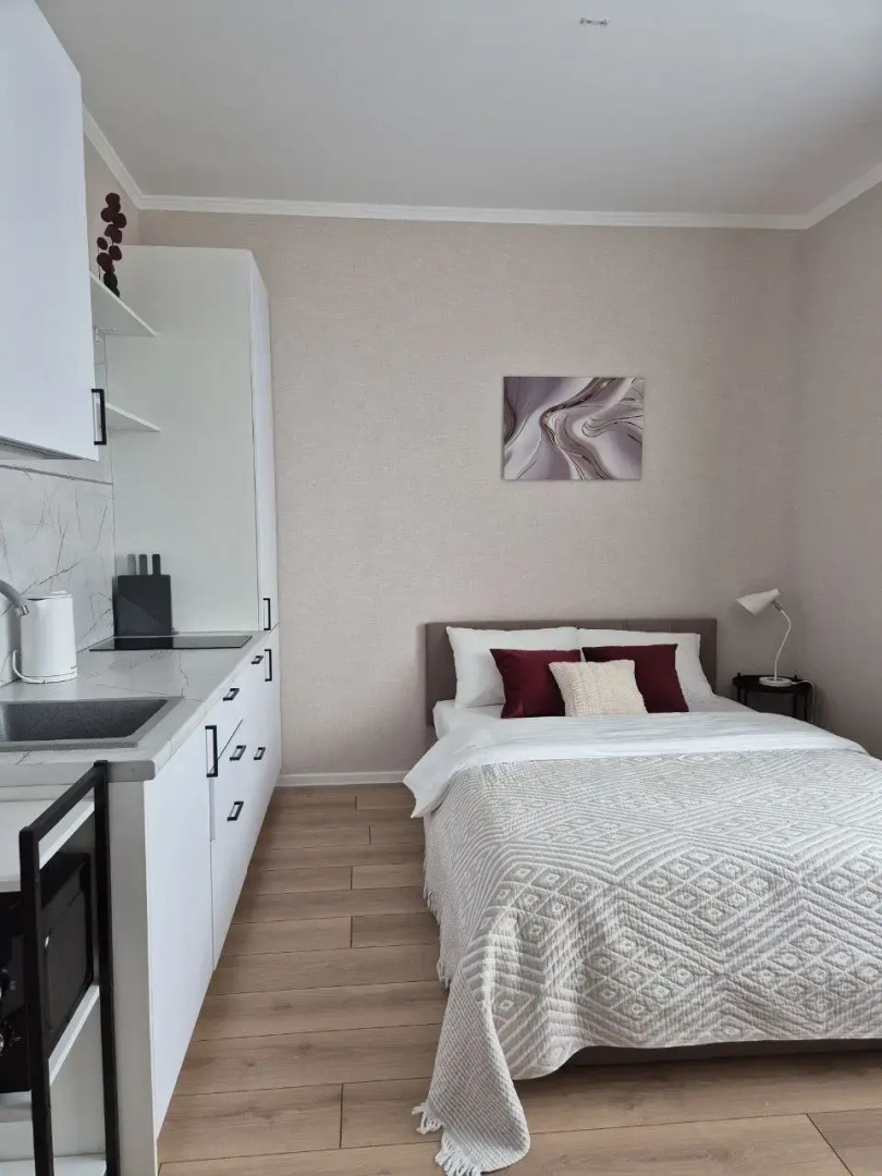 Квартира Студия Пино Нуар