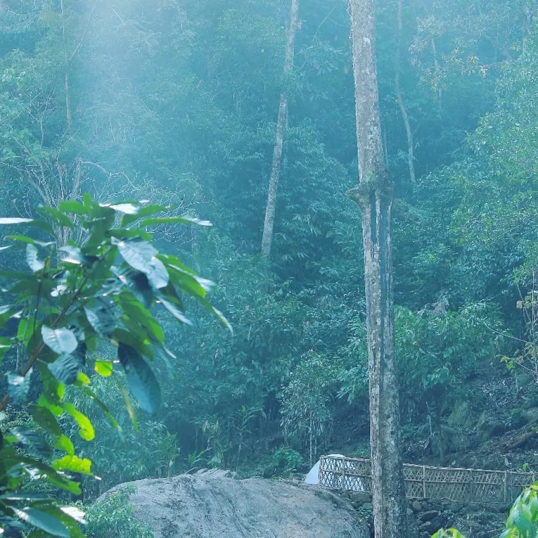 Moon Hill Resort Munnar ( Nature Retreat )