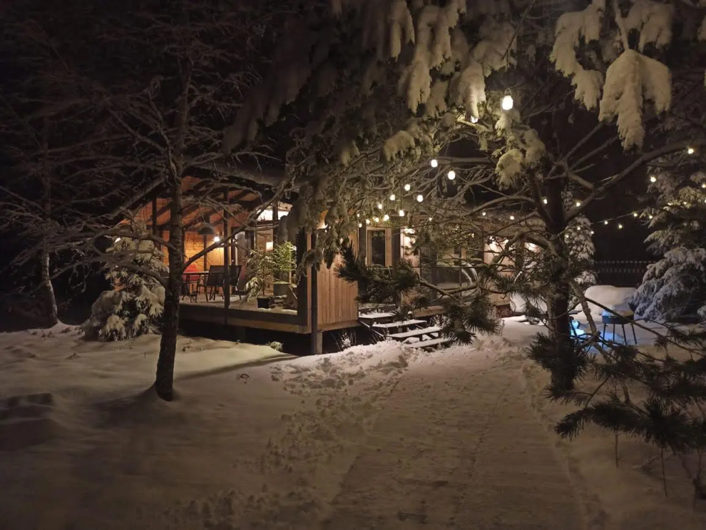 Частный дом Iris House