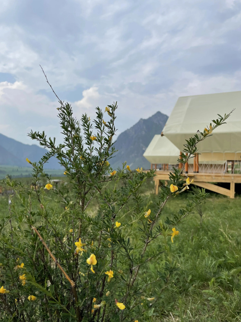 База отдыха Глэмп Хилл