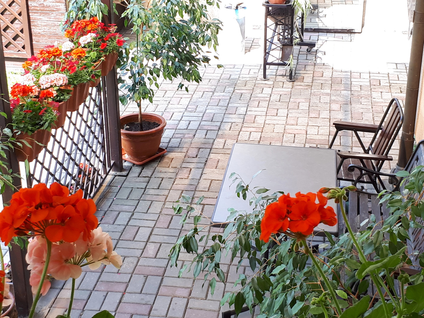 Апартаменты Квартирка на Донской Калининград (район Амалиенау)