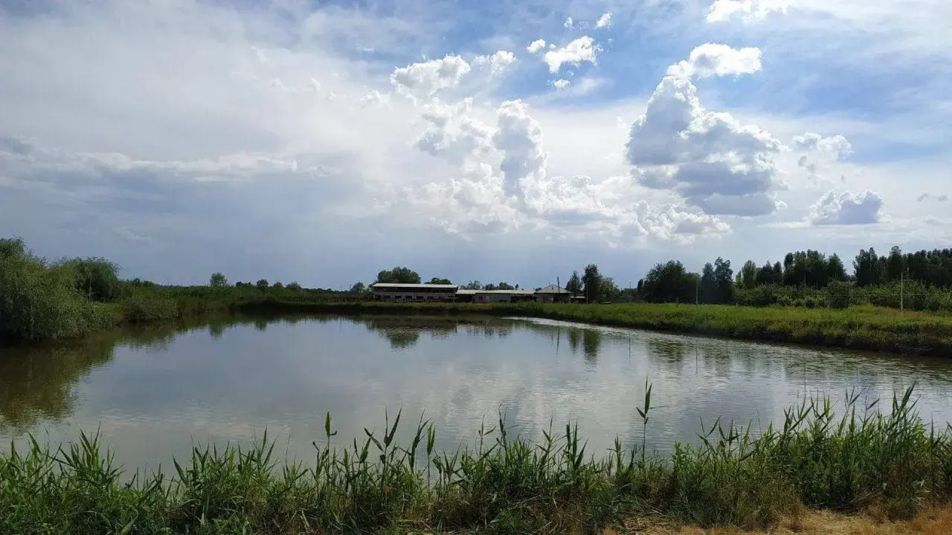 Курортный отель Usmon Ota