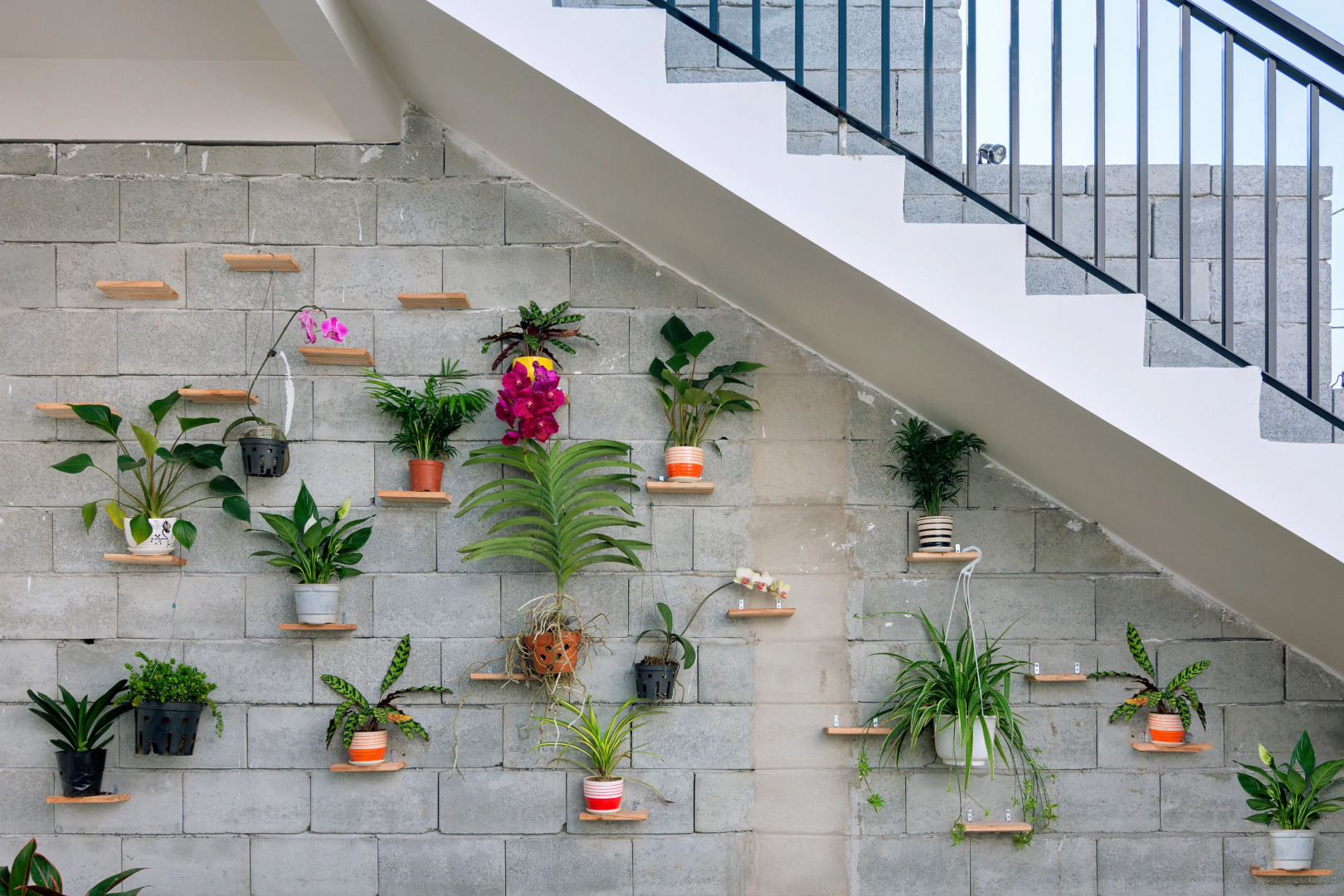 Вилла Plants Garden