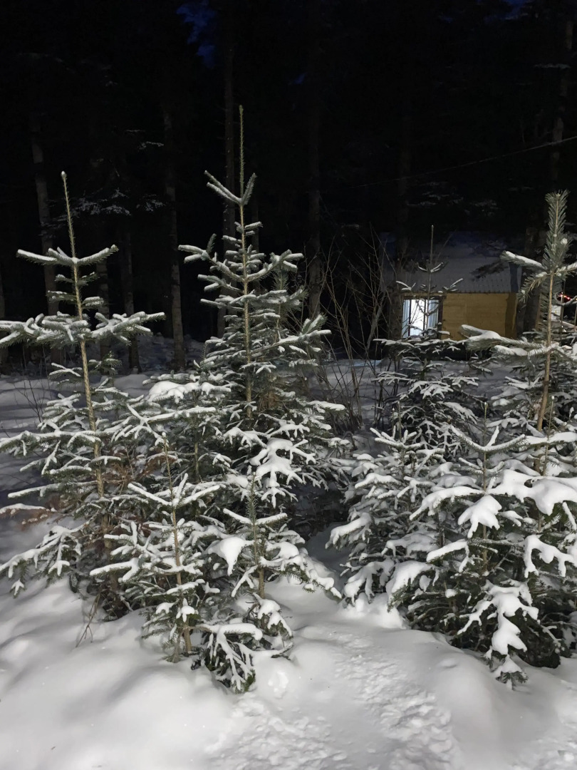 База отдыха Поляна Зубров