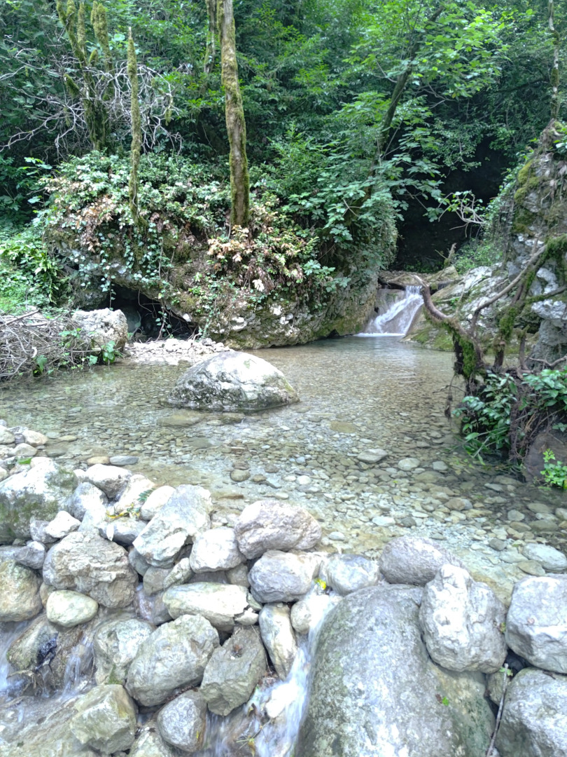 База отдыха Ущелье Гагрипш