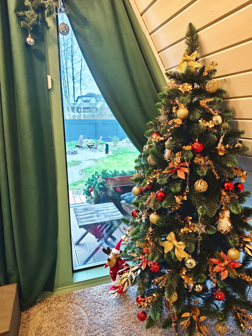 Частный дом Лесной Aframe