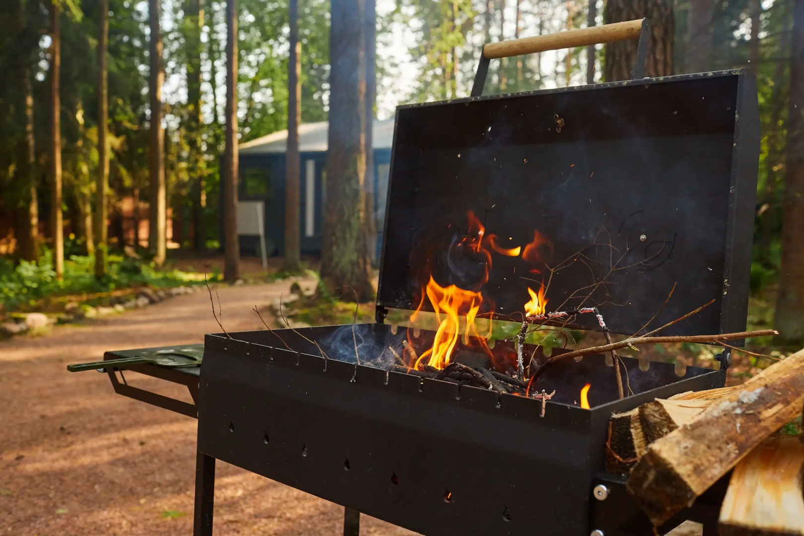 Частный дом Большая Репинская дача в лесу