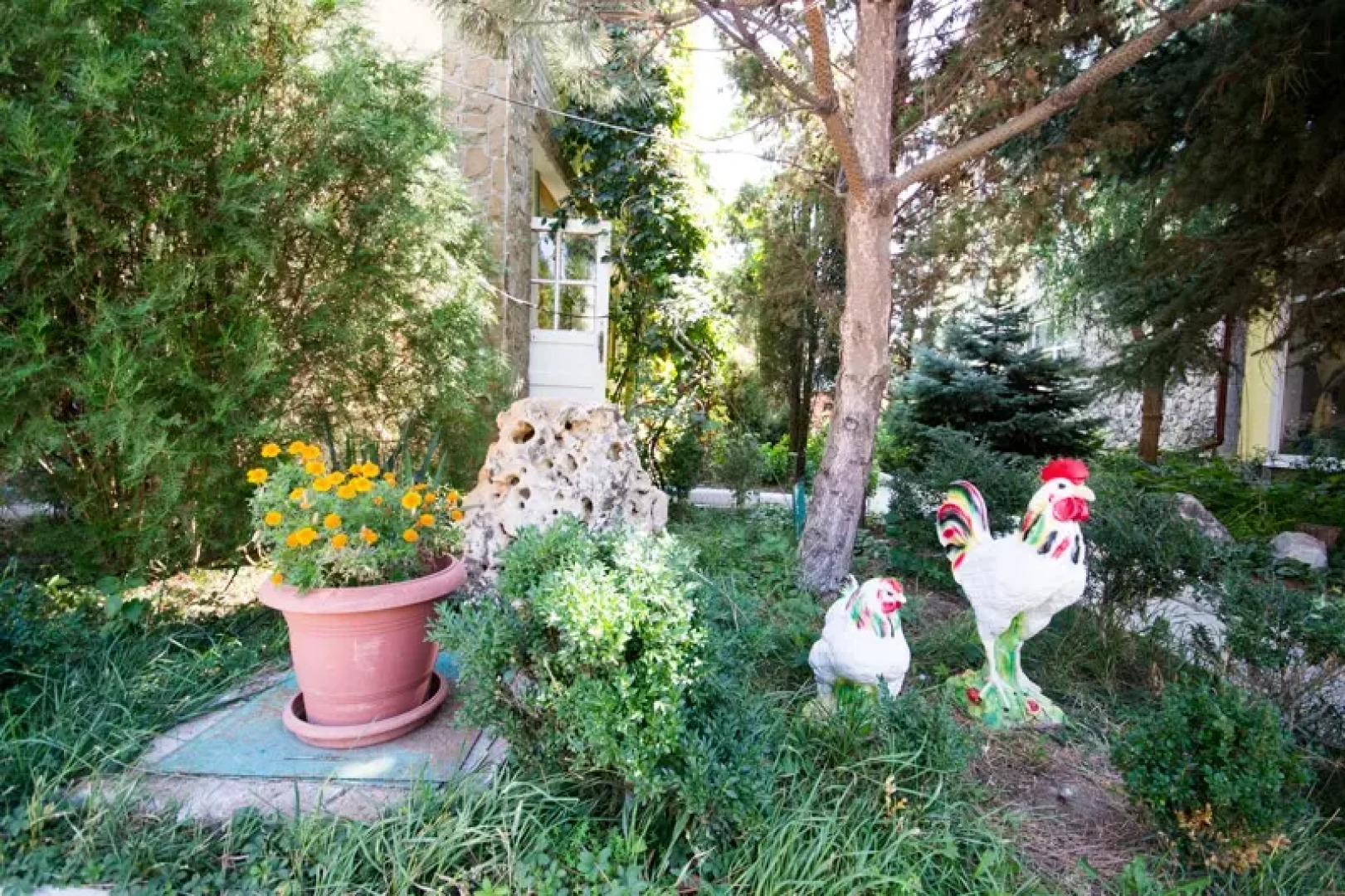 Пансионат Лазурный