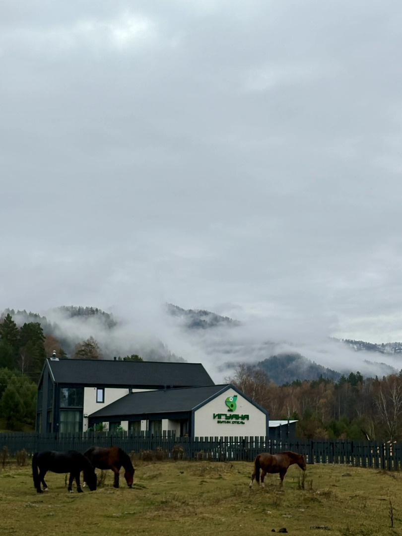 Бутик-отель Игуана