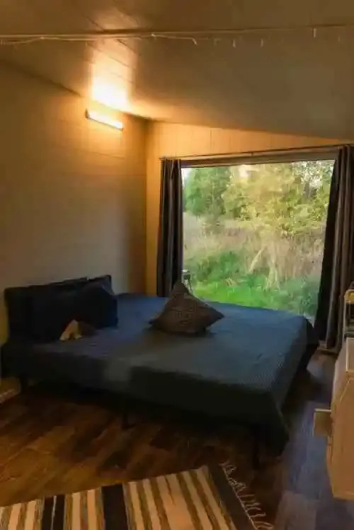 Папоротник