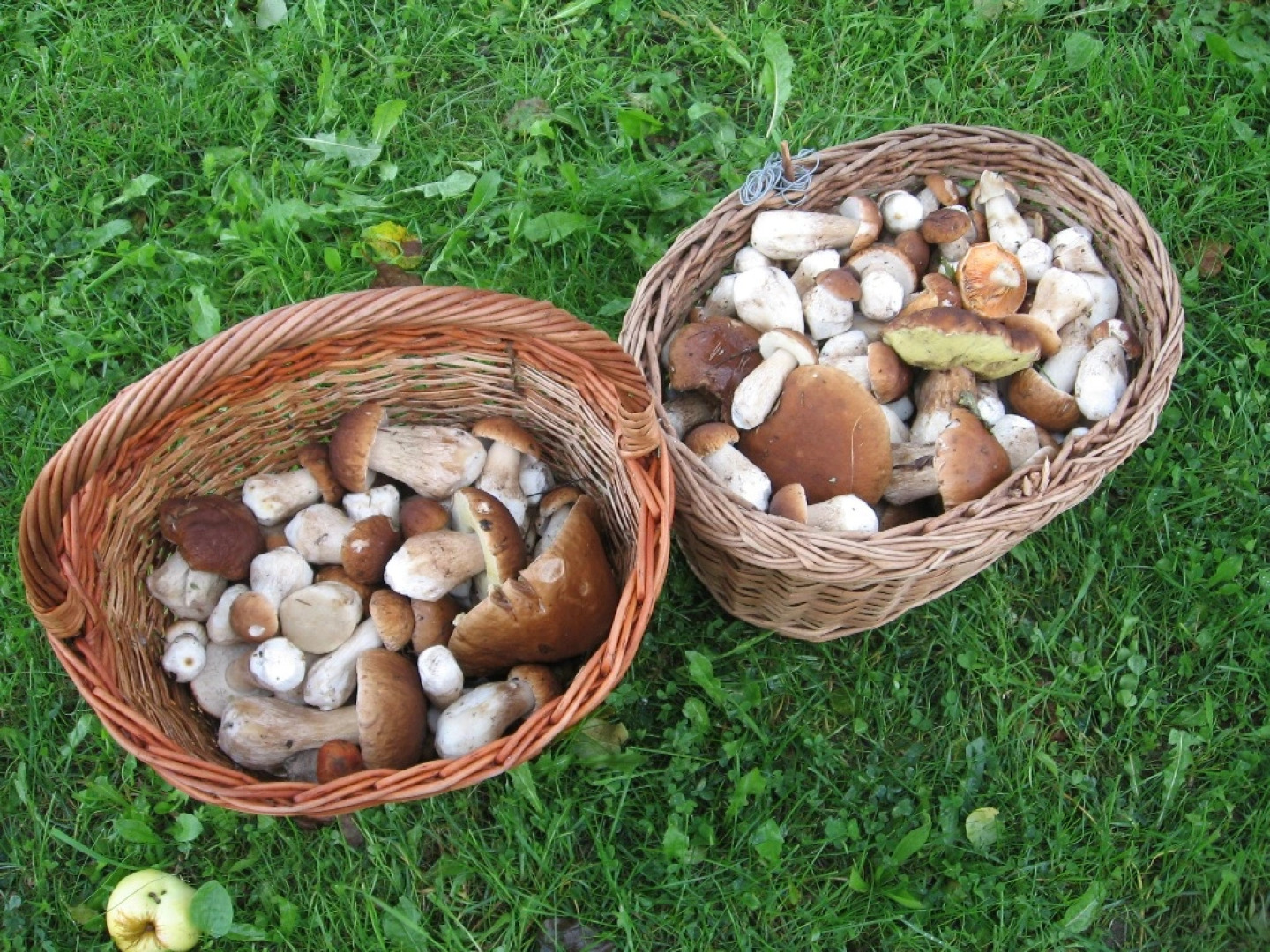 Мини-Отель Усадьба 4 сезона