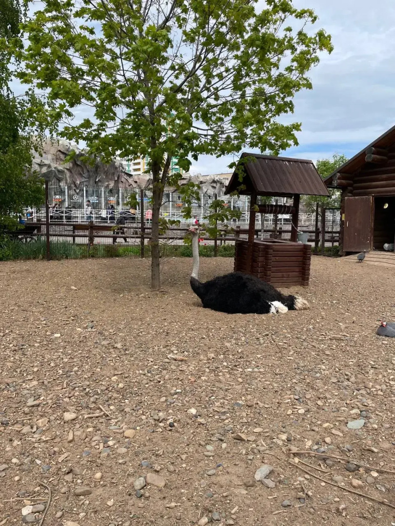 Квартира возле зоопарка