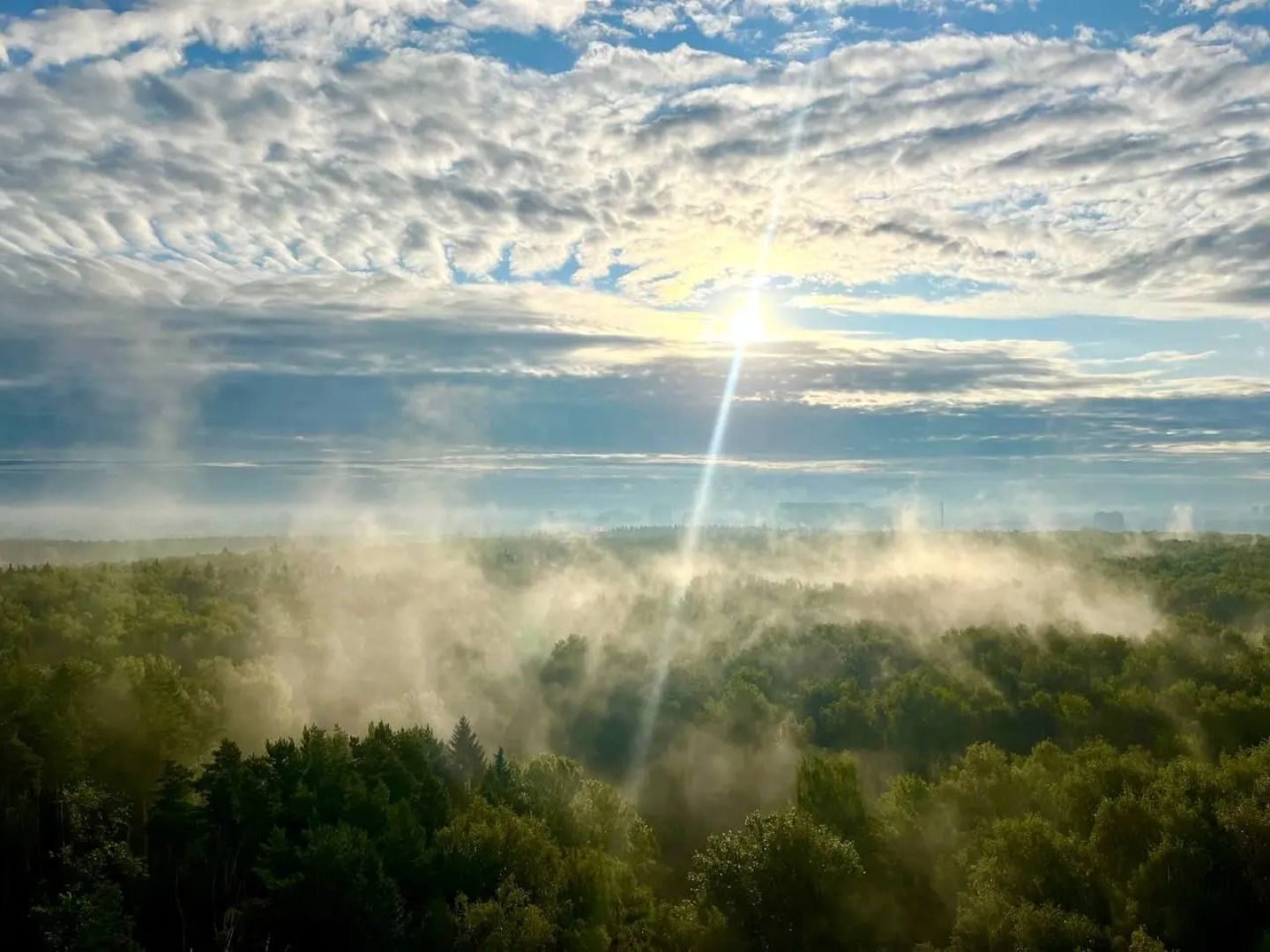 Апартаменты Истоман 2+2 с видом на Лес