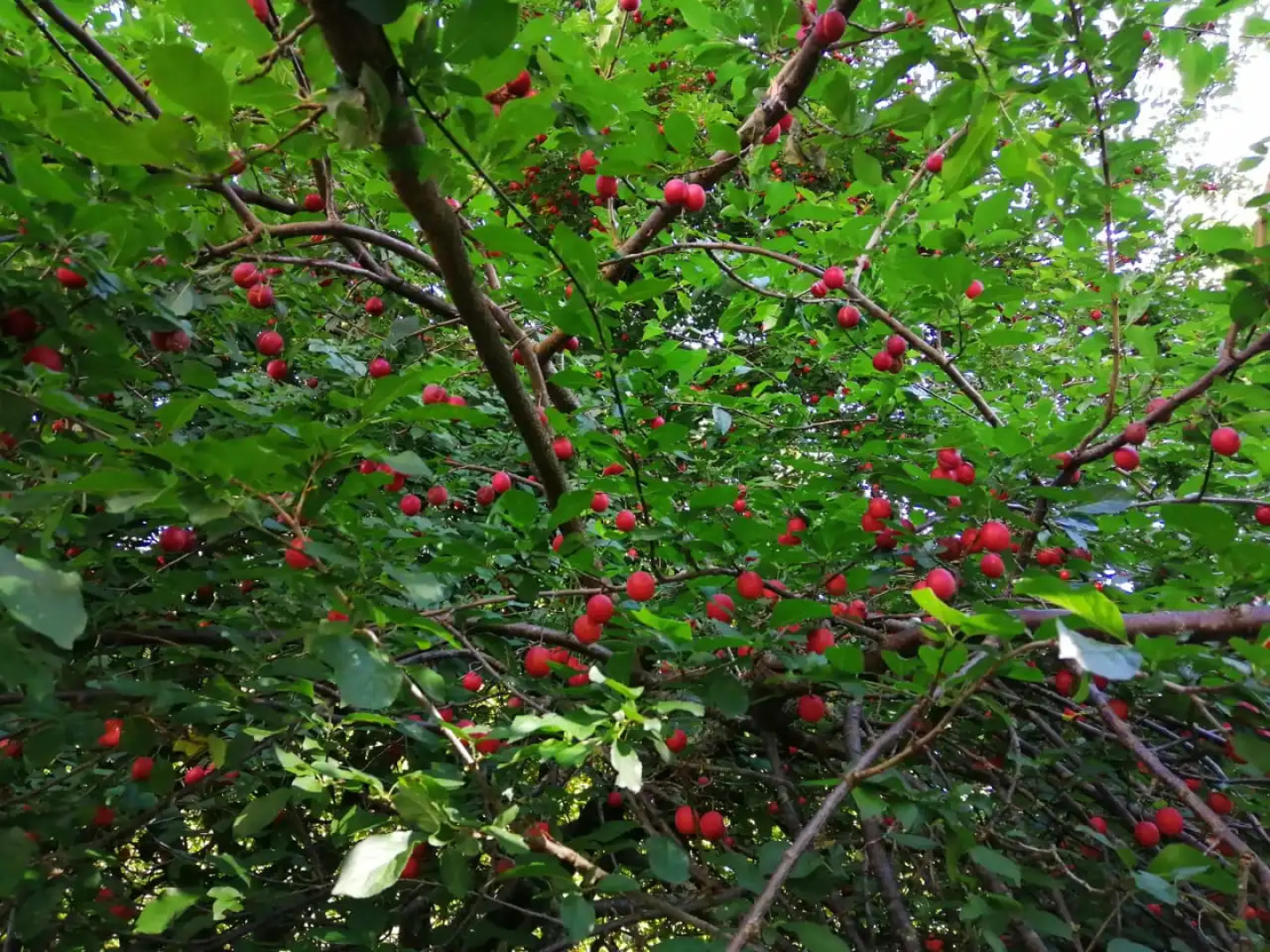 Апартаменты Пригородная 7