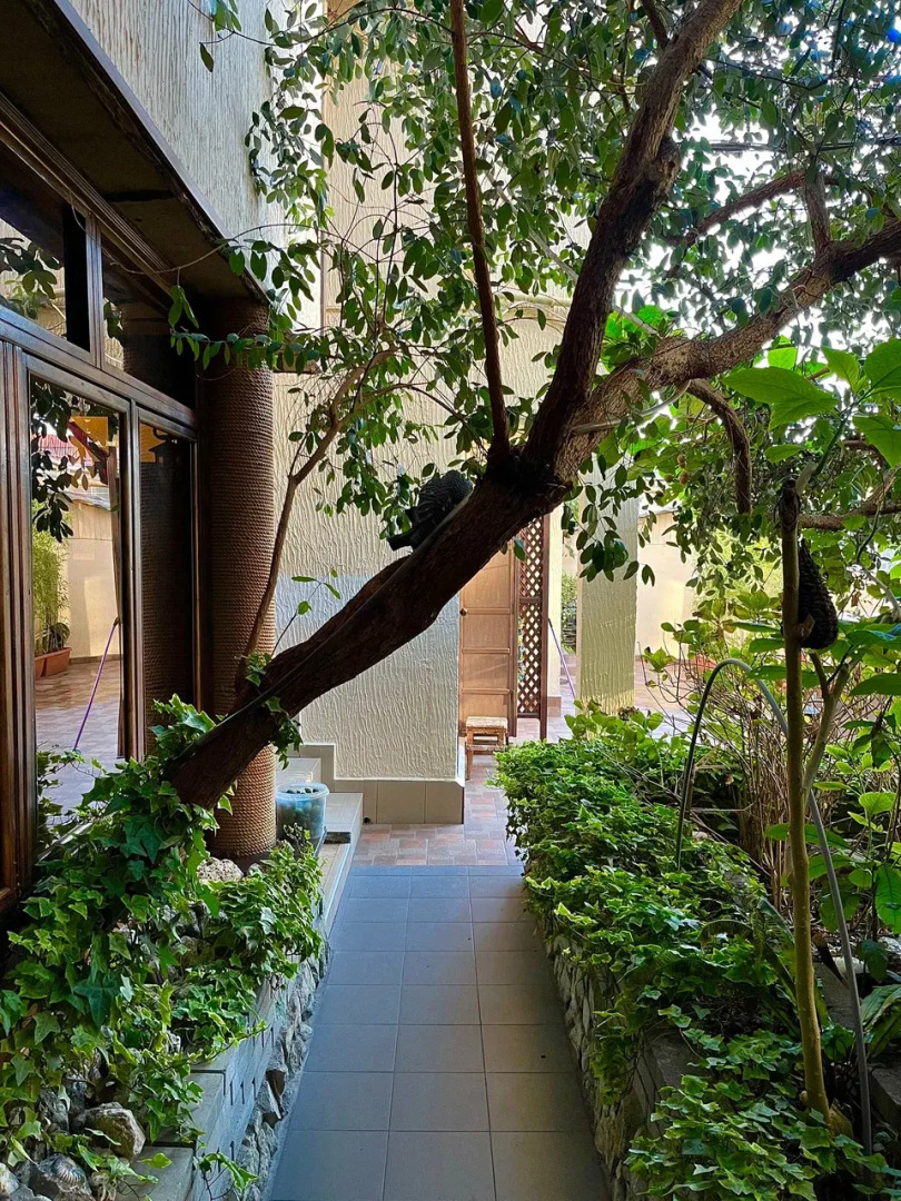 Гостевой дом Лето