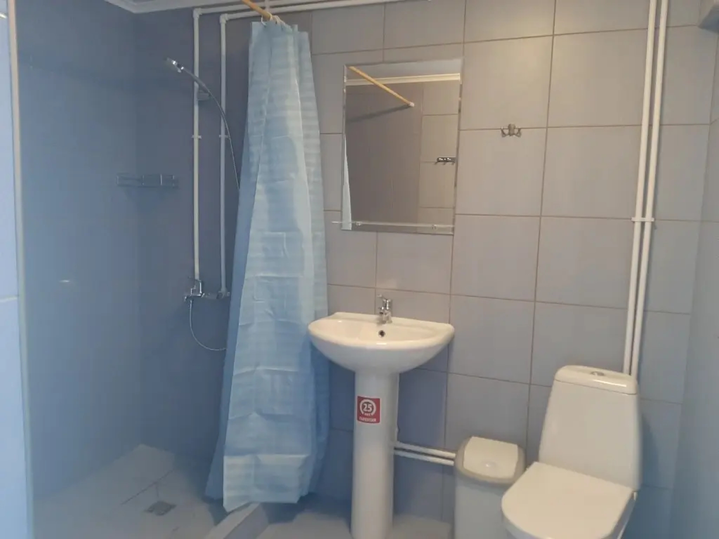 Частный дом Большая дача в Ушаках