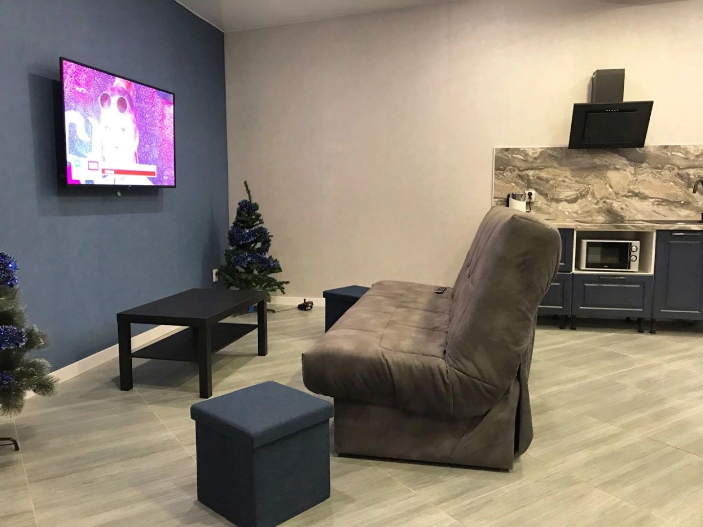 Частный дом Вилла в Карелии 1