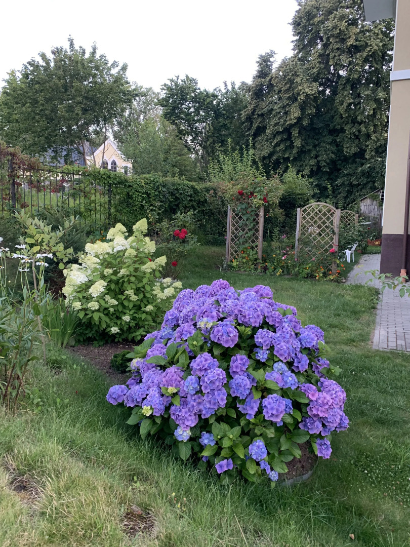 Апартаменты SVApart Светлогорск