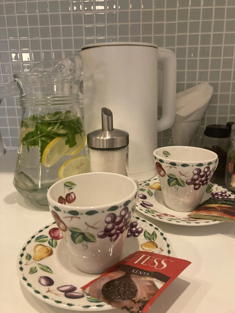 Квартира двухкомнатная с балконом Scandik