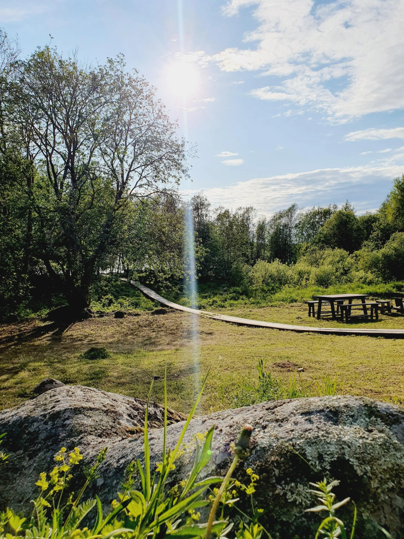 Коттедж Онегин