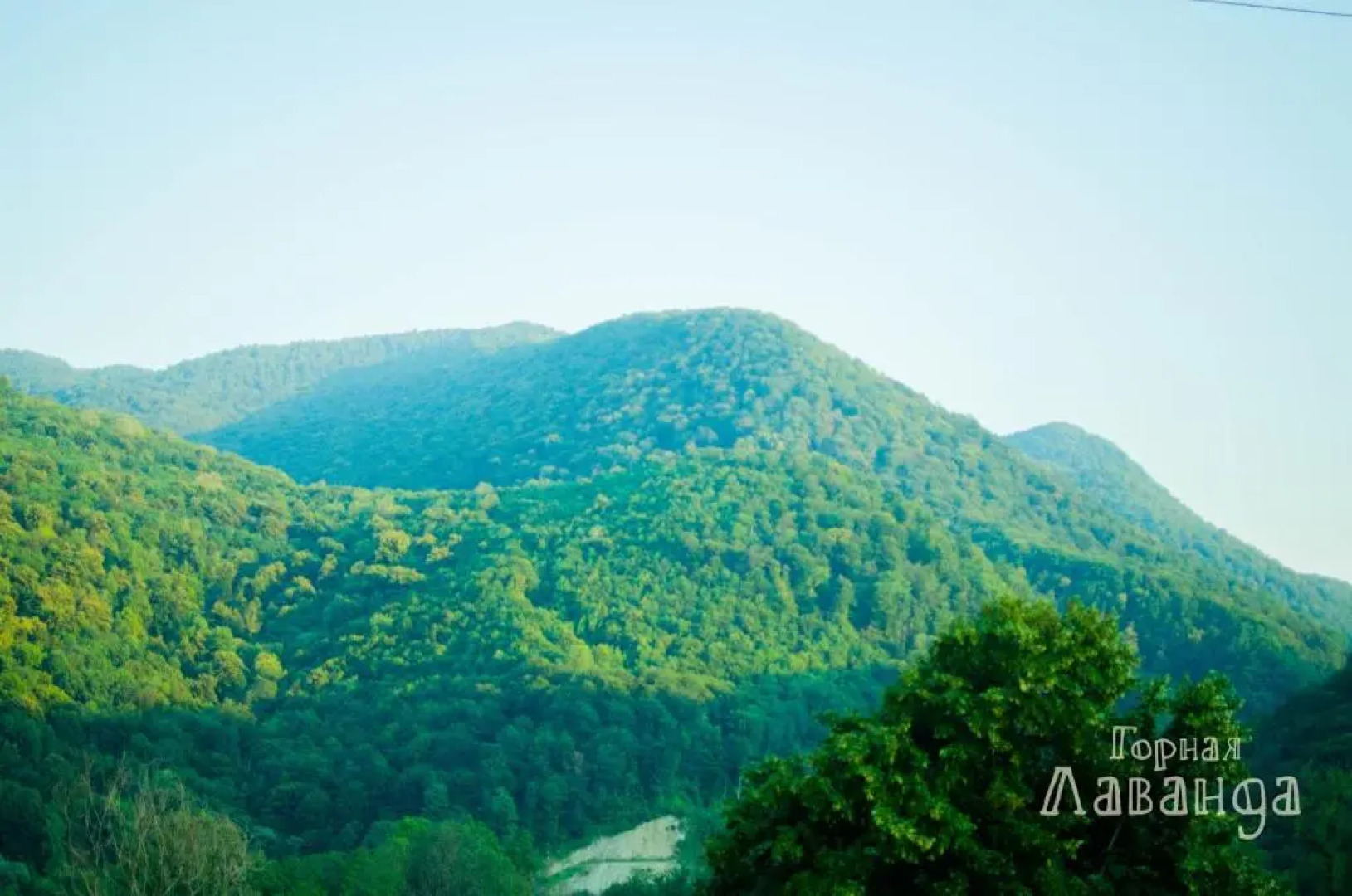 Гостевой дом Горная Лаванда в селе Монастырь