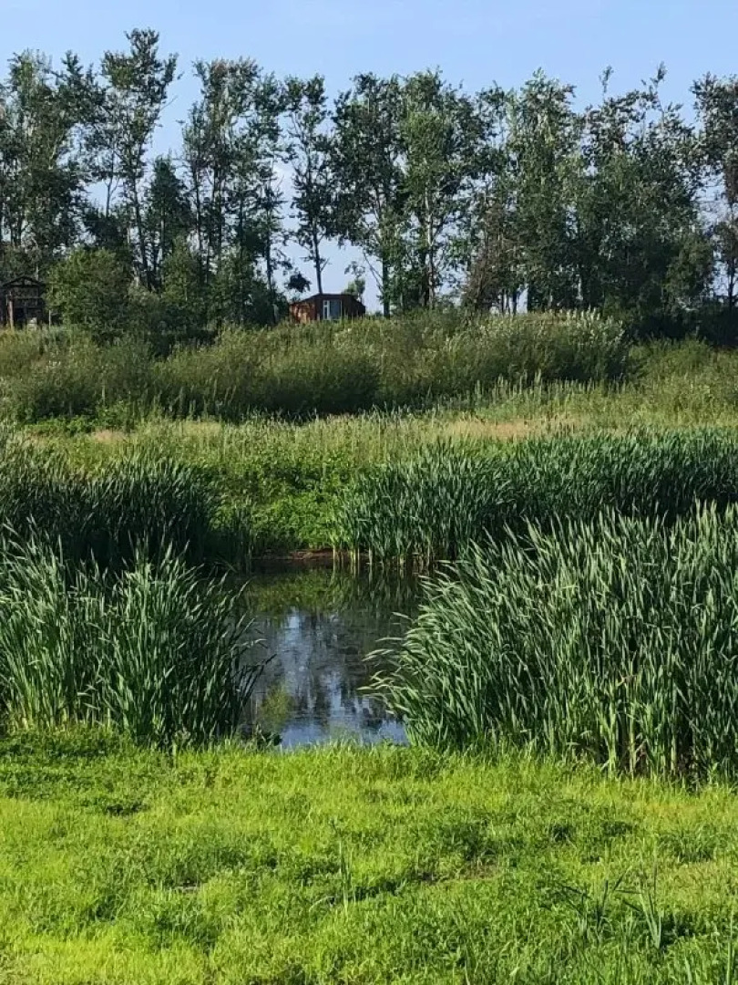 База отдыха парк отдыха Лесное озеро