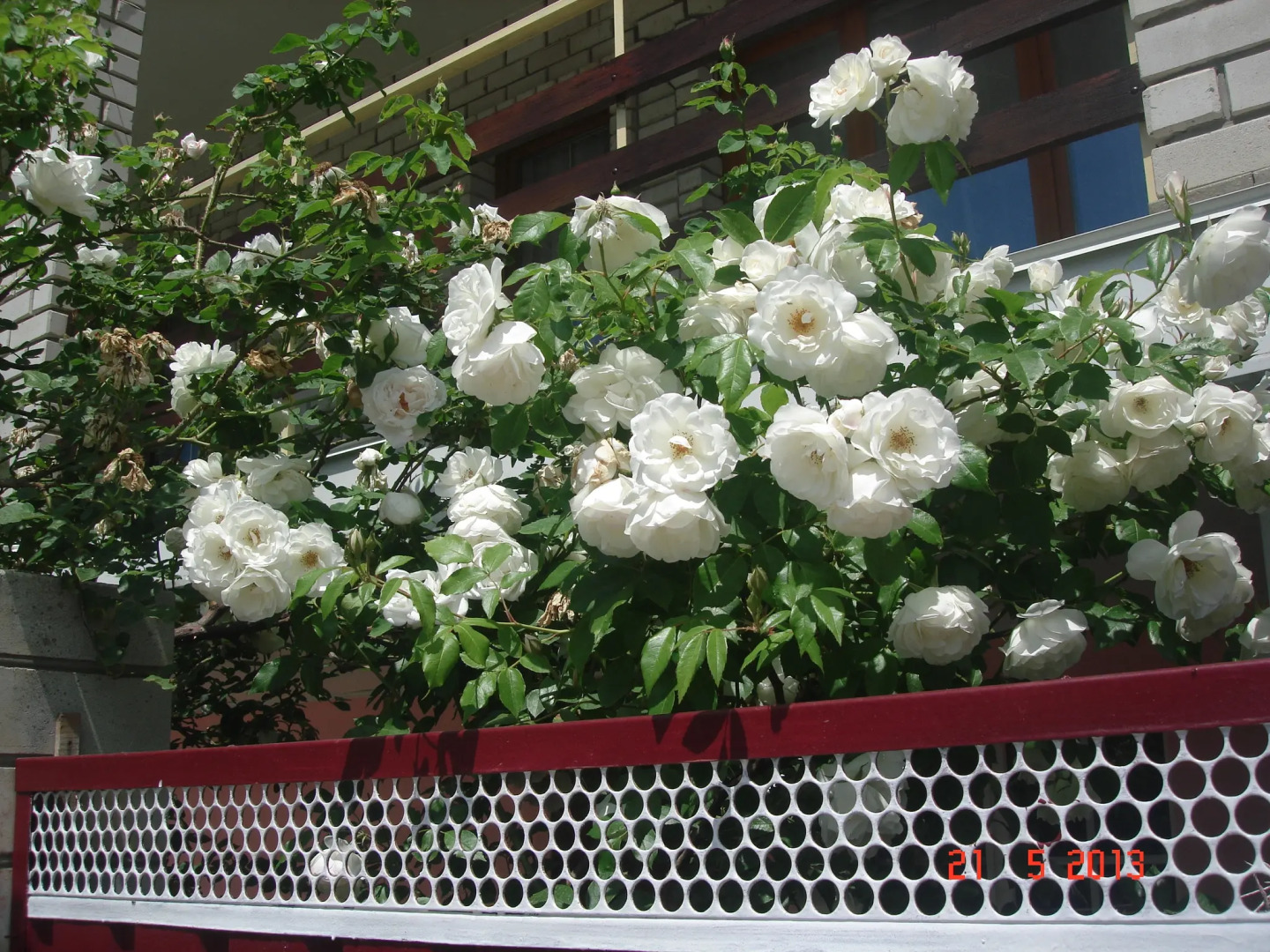 Гостевой дом Вера