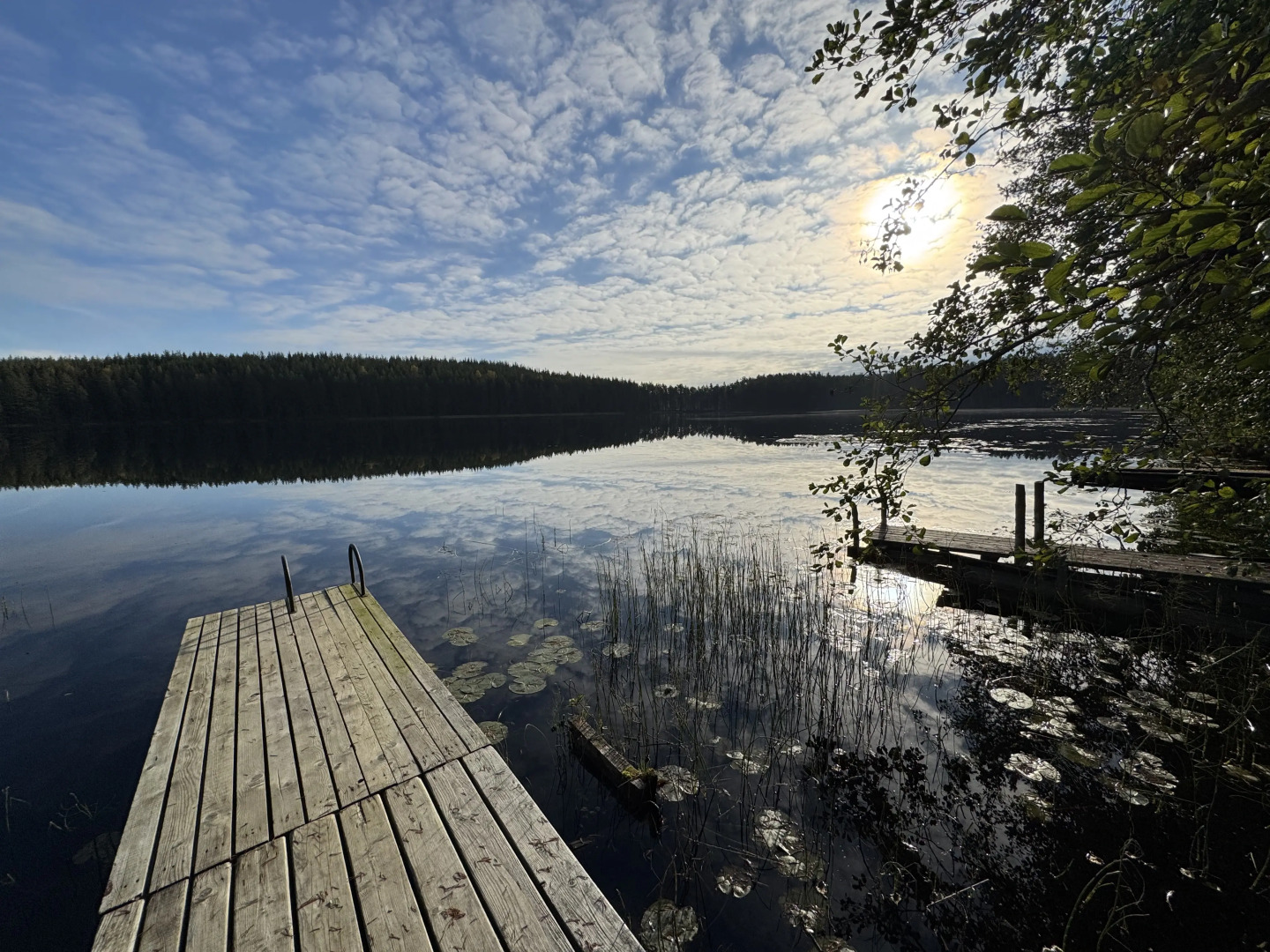 Частный дом Ретро-дача в Карельской деревне