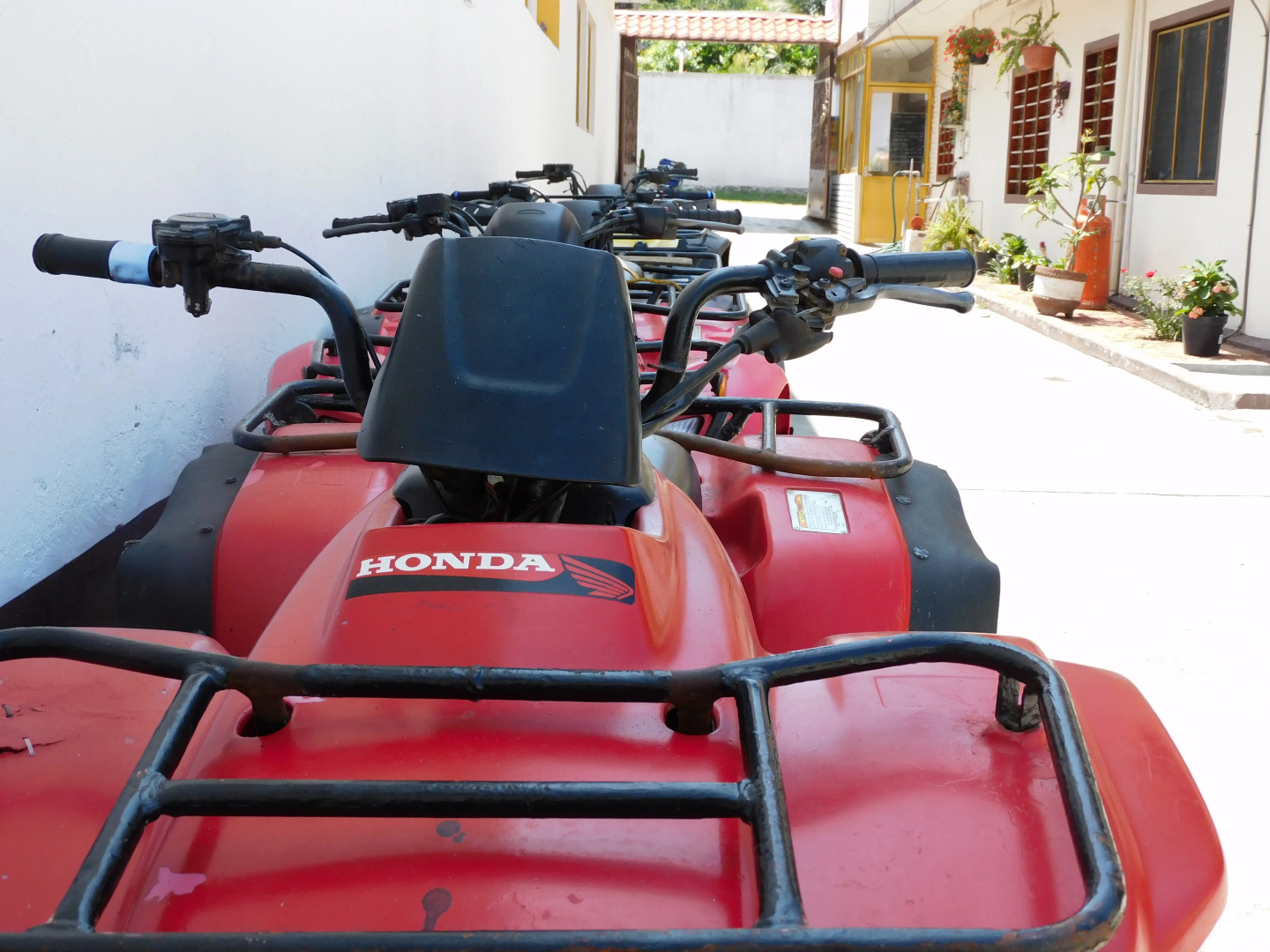 Отель Casa de Huespedes Nayomi By Rotamundos