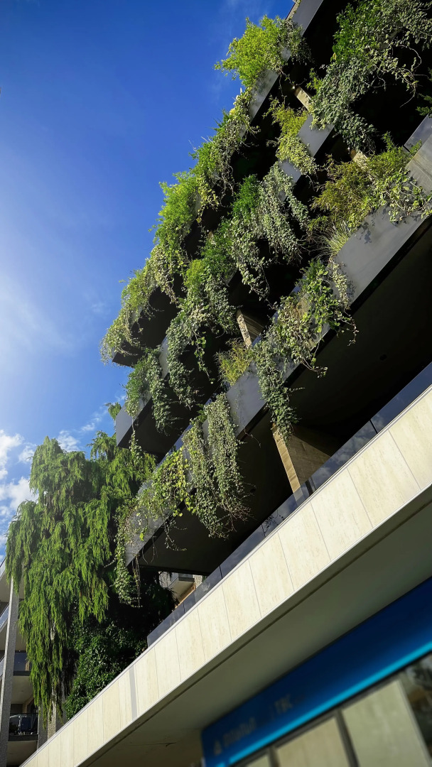 Отель Bamboo Garden