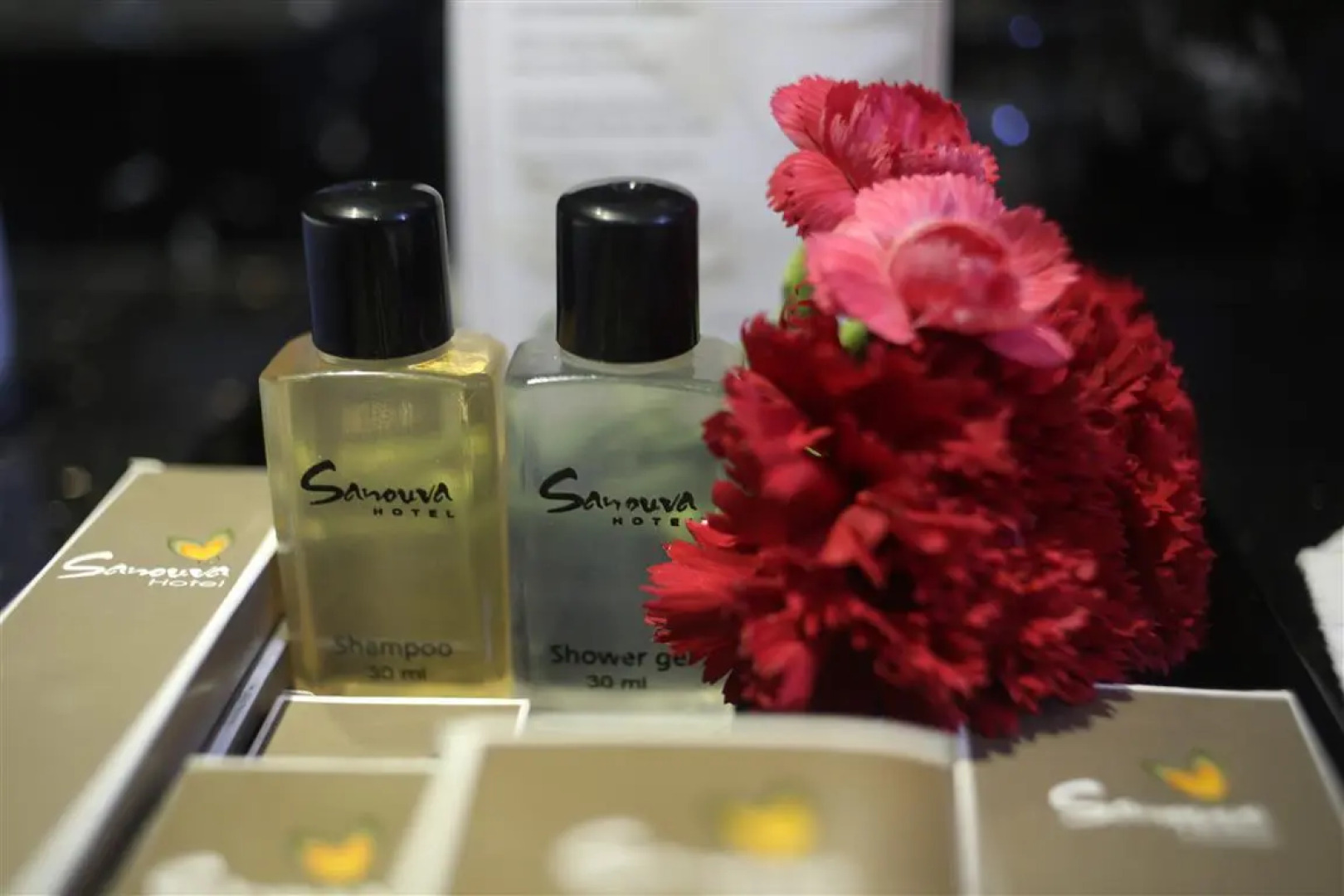 Отель Sanouva Danang