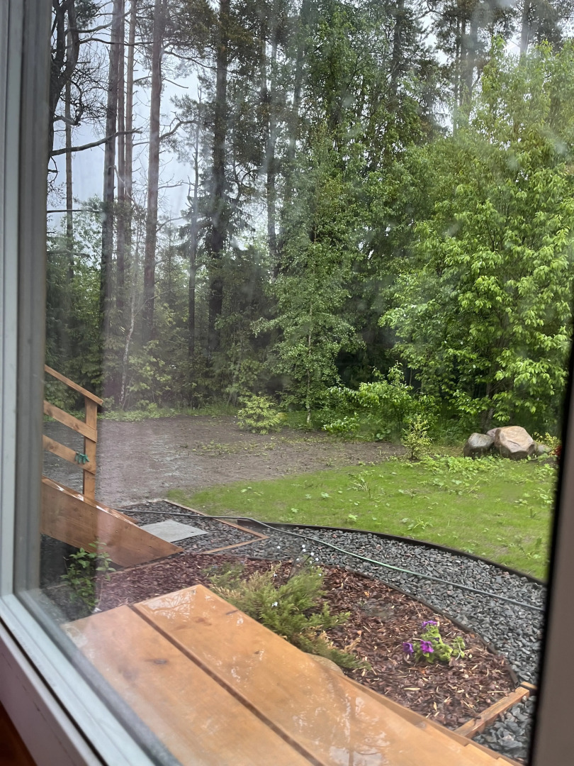 Гостевой дом Новый дом у соснового леса