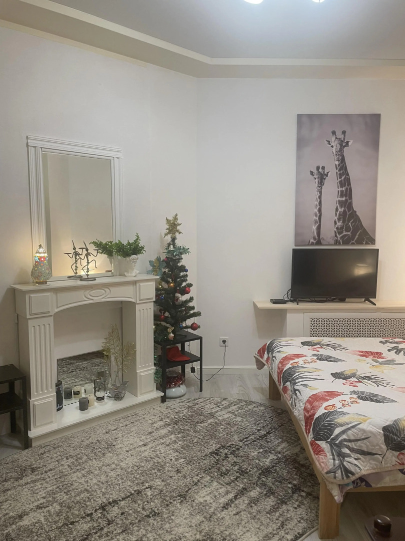 Апартаменты Квартира в центре с отдельным входом