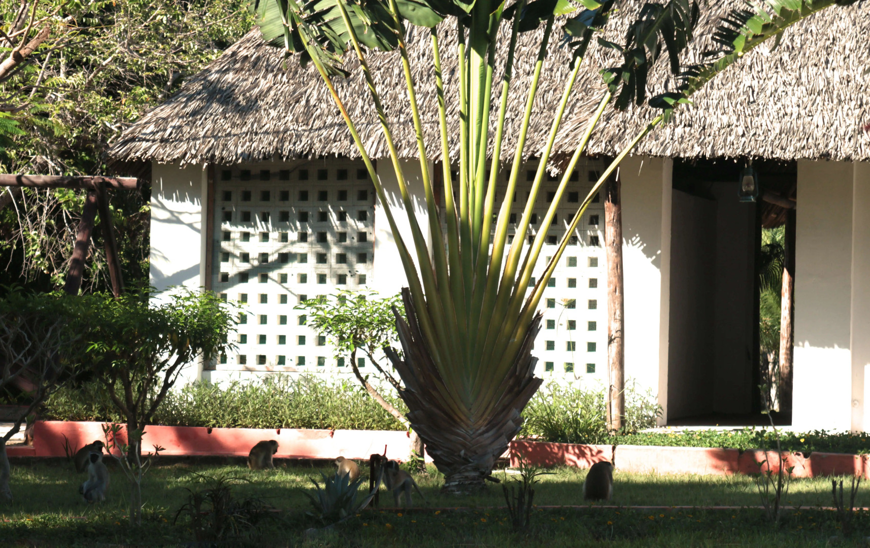 Отель Makao Changani Beach Resort