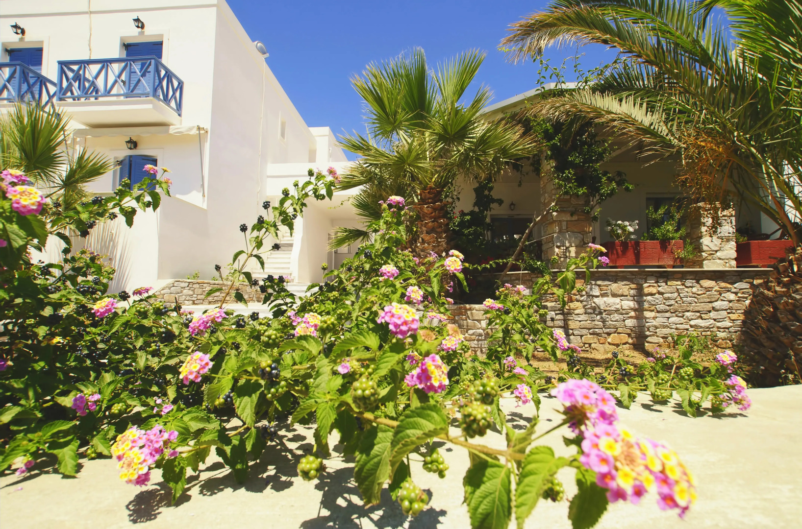 Апартаменты Manos