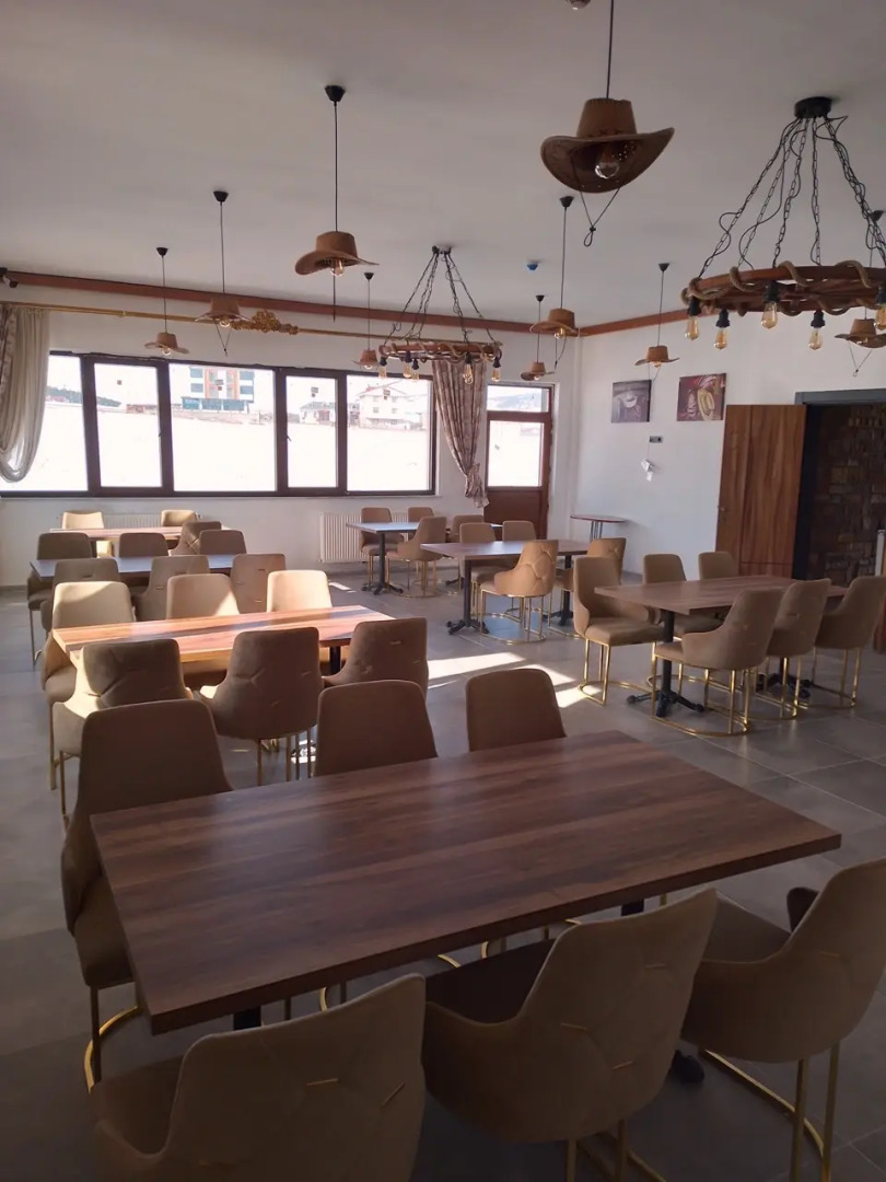 Отель Metinoğlu Pansiyon (Chalet Khione) Sarıkamış