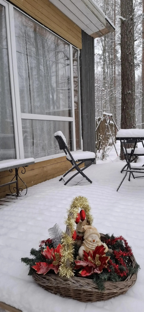 Частный дом в Вязах