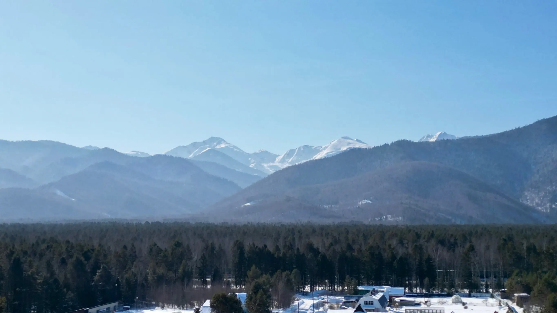 Меблированные комнаты Шишки