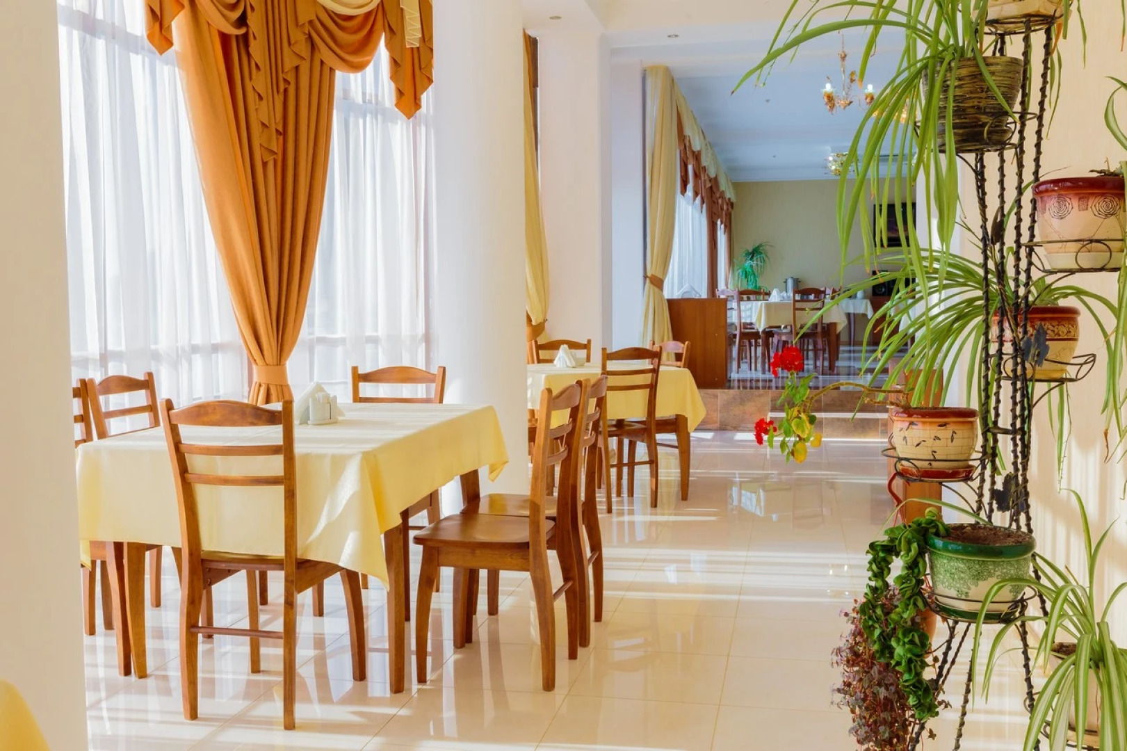 Отель Белый Грифон