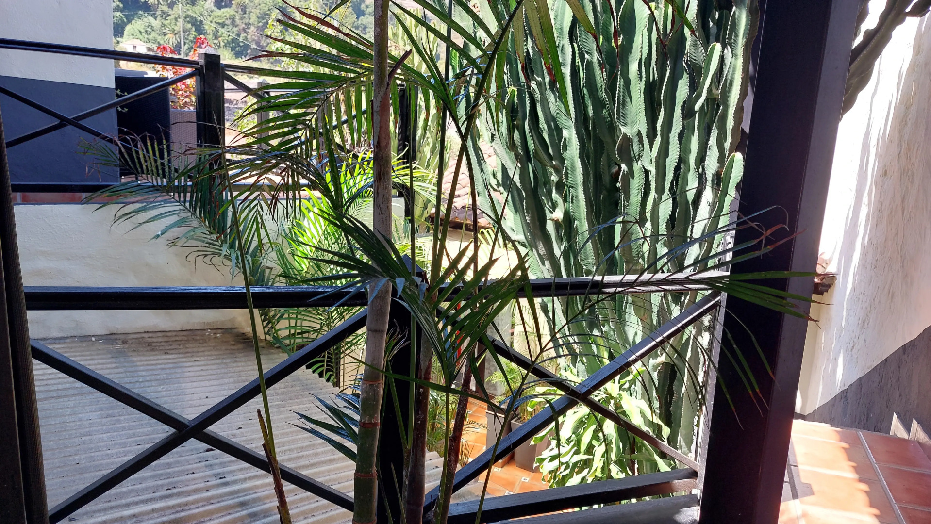 Апартаменты Apartamentos Monasterio de San Antonio Adults Only