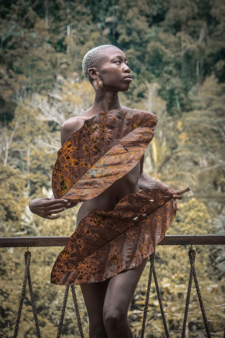 Глэмпинг Eco Park Pelaga