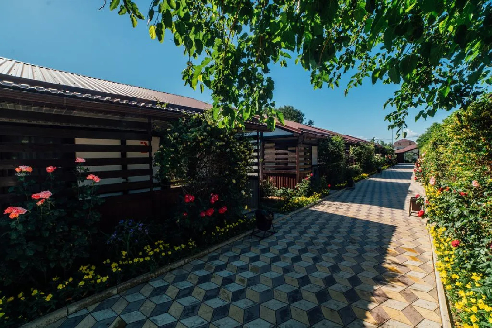 Отель Гостевой комплекс Альтаир