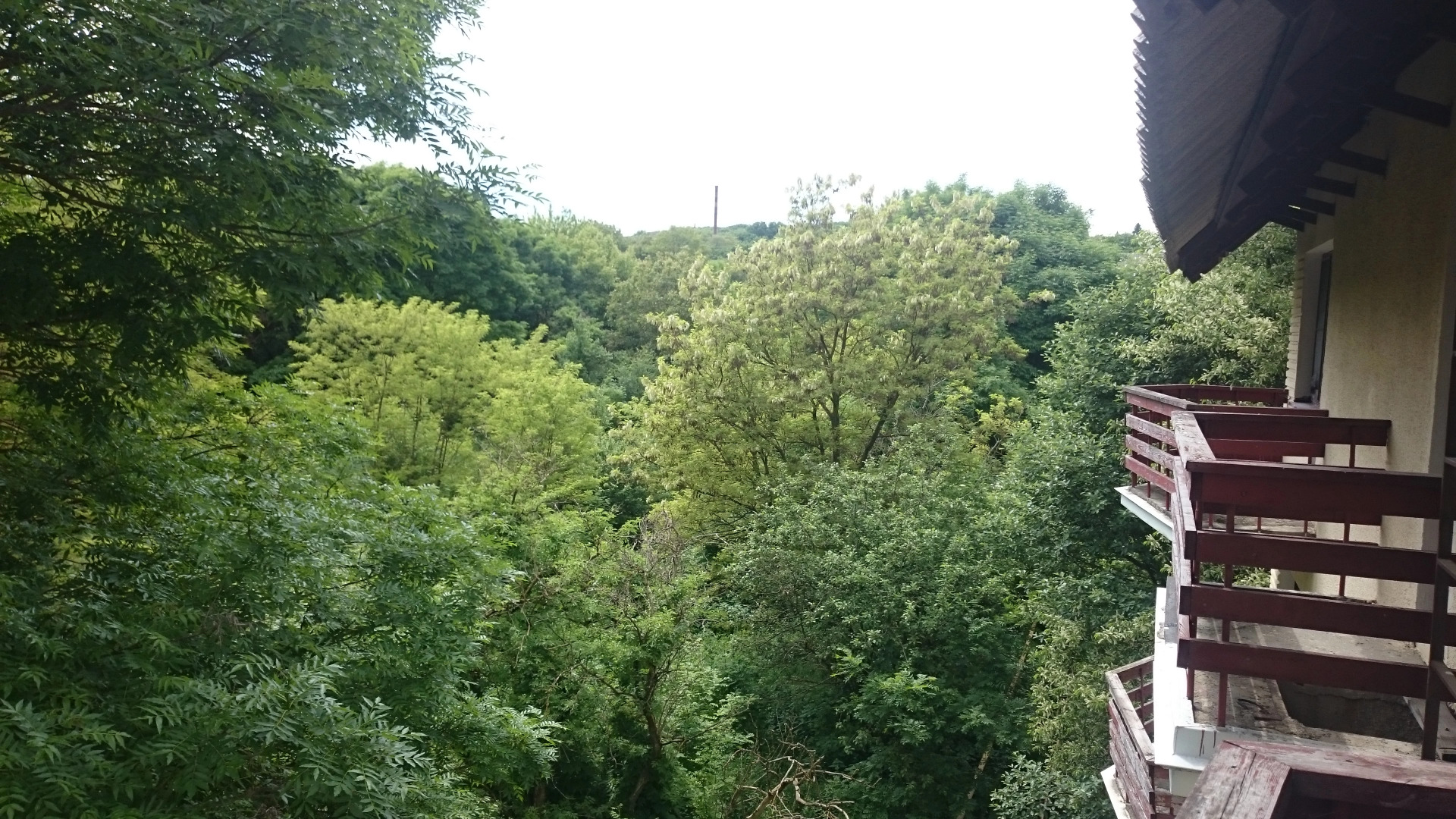 Отель Динамо