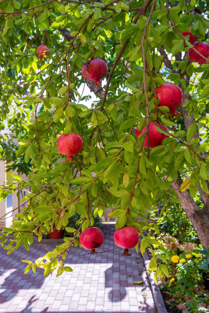 Гостевой дом Малахит Плюс