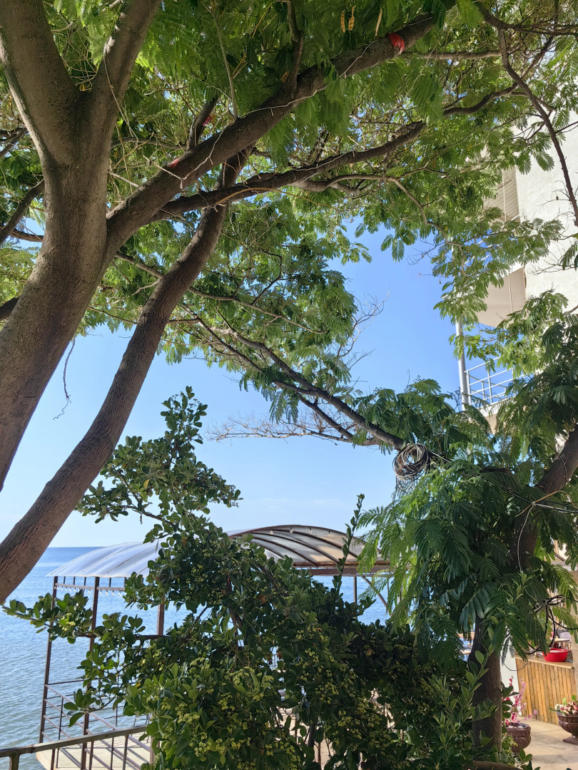 Гостевой дом Первая Линия