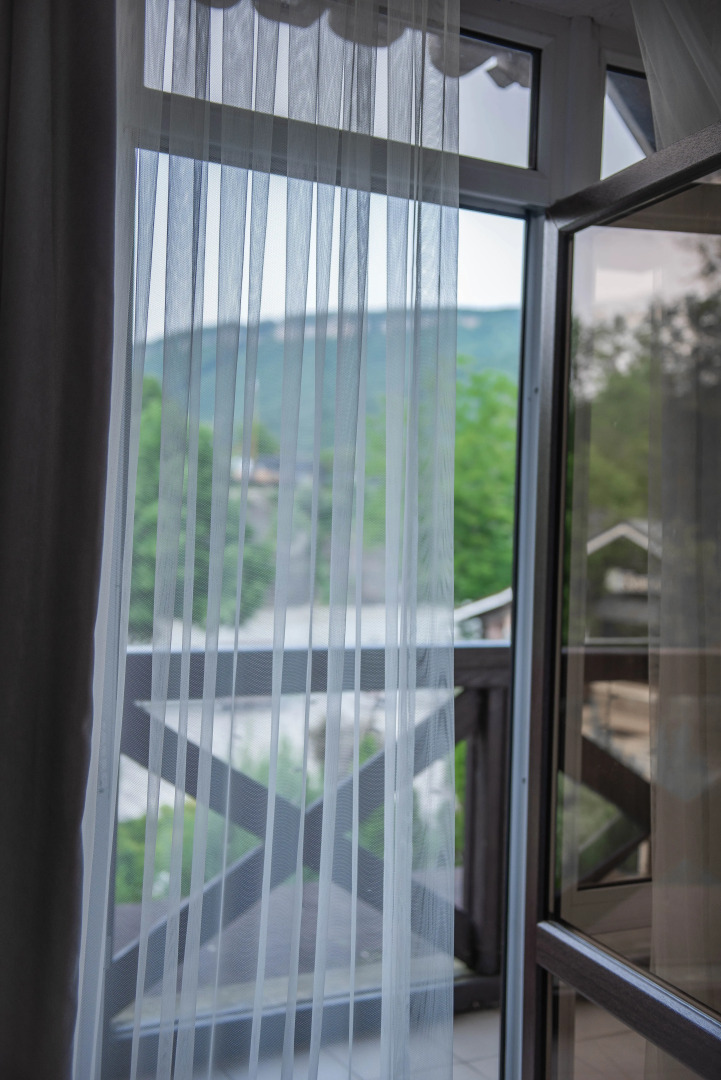 Отель Каштан