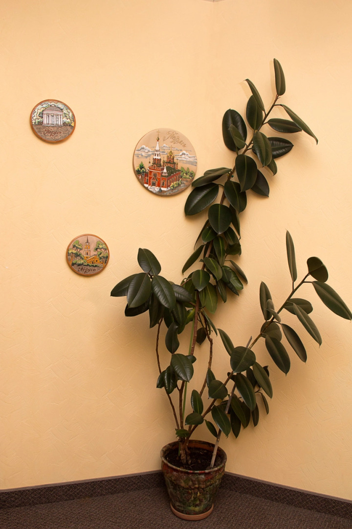 Отель Регион 59