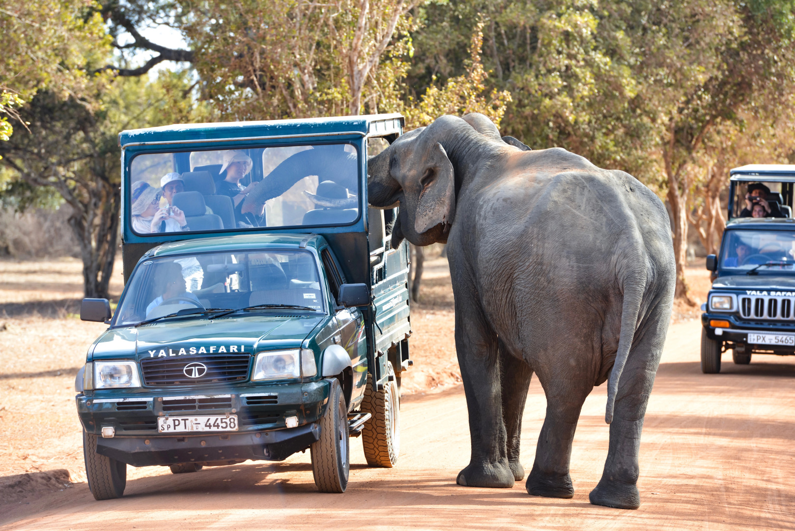 Отель Arana Yala