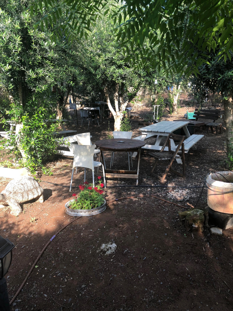 Шале Talma Cabins